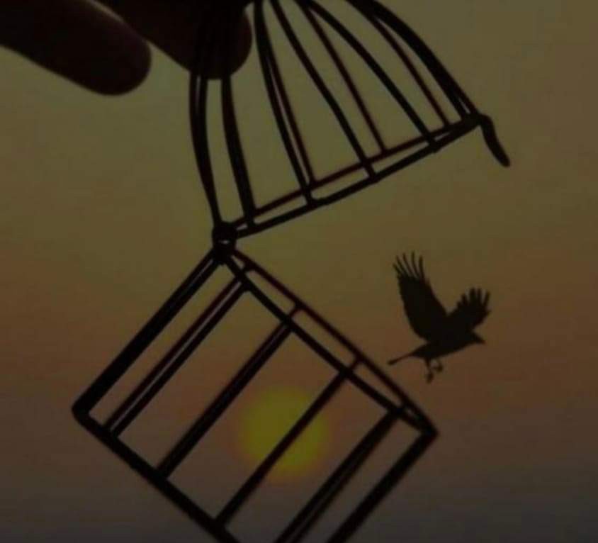 रिश्तों की जंजीर's image