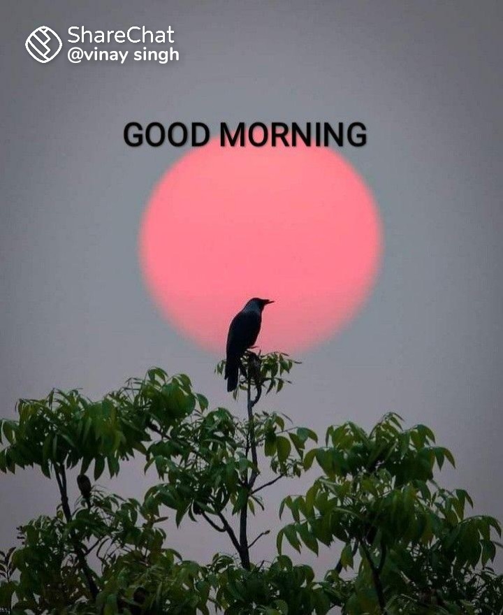 मुस्कराहट ज़िन्दगी है !'s image