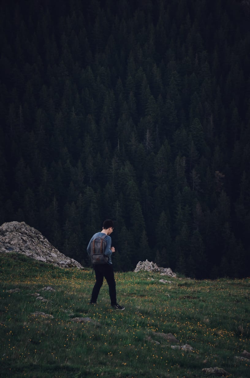 पलायन's image