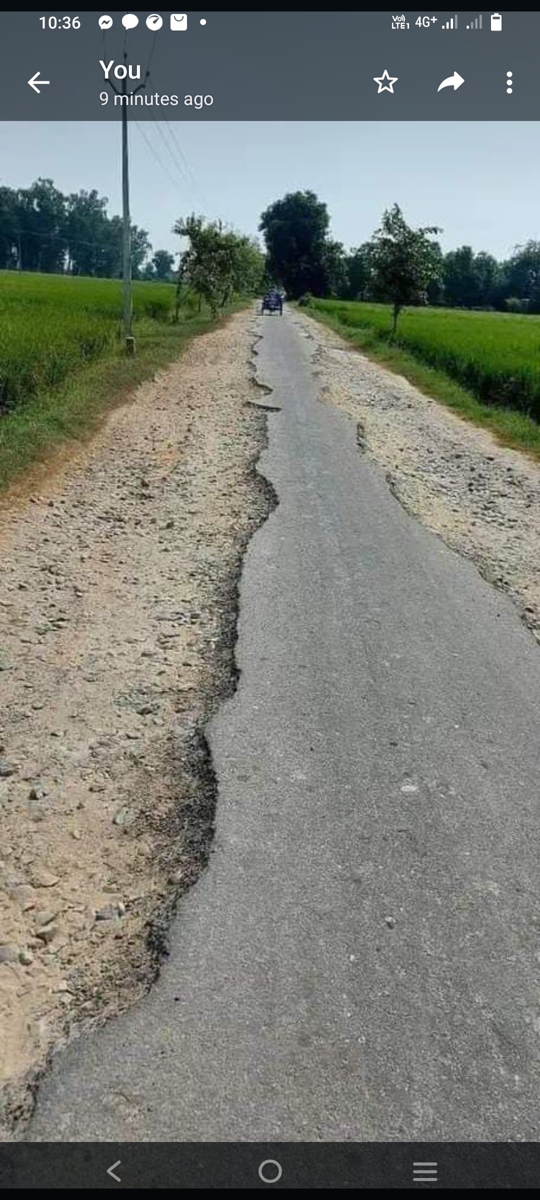 अपने अपने शिखर's image