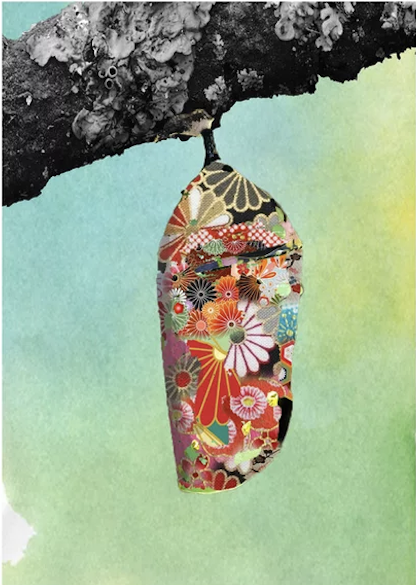 उड़ान's image