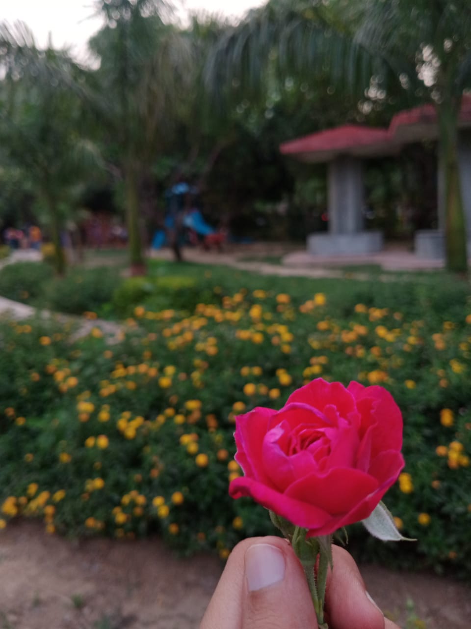 प्रिय नारी's image