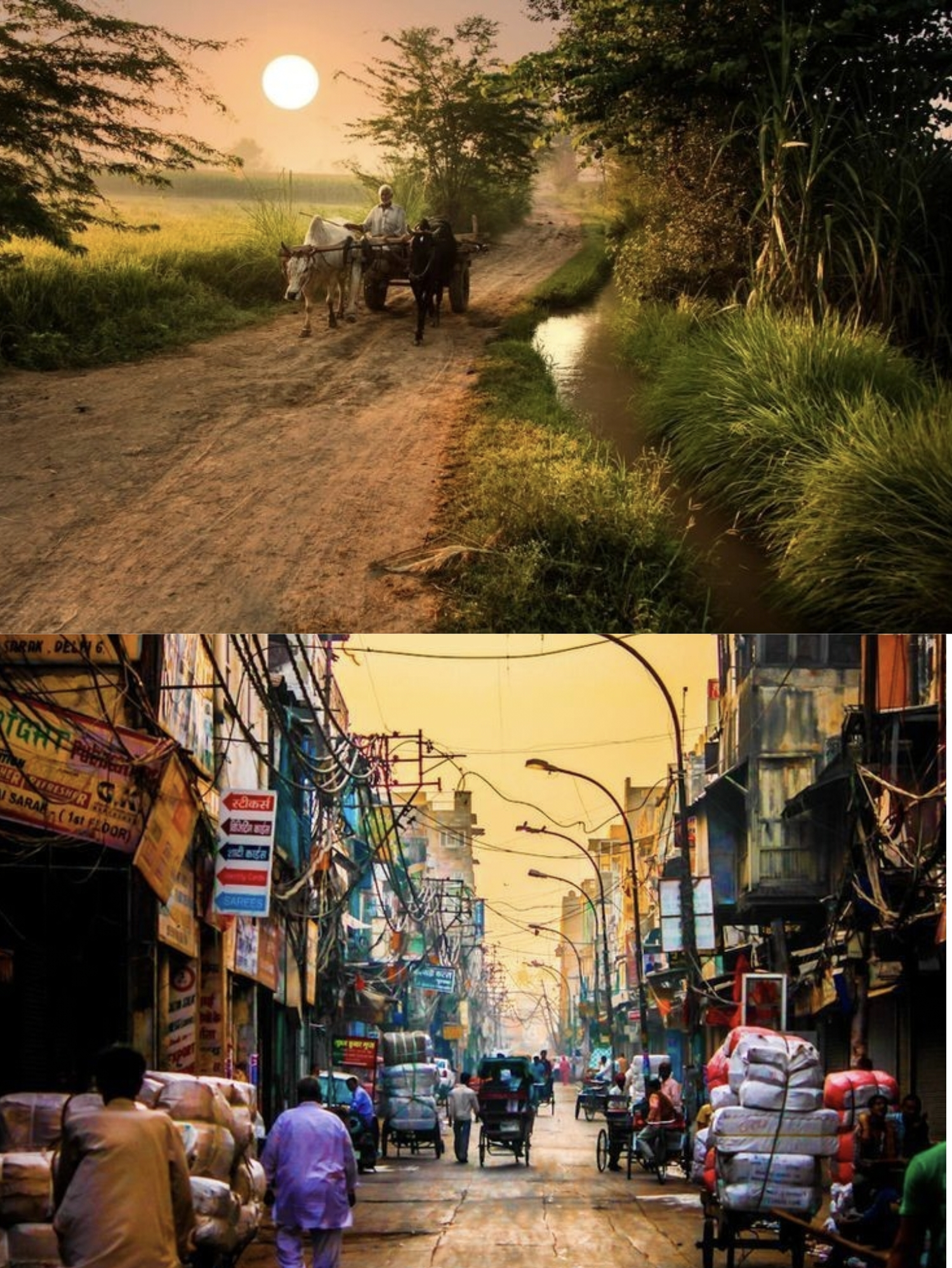 गांव और शहर's image