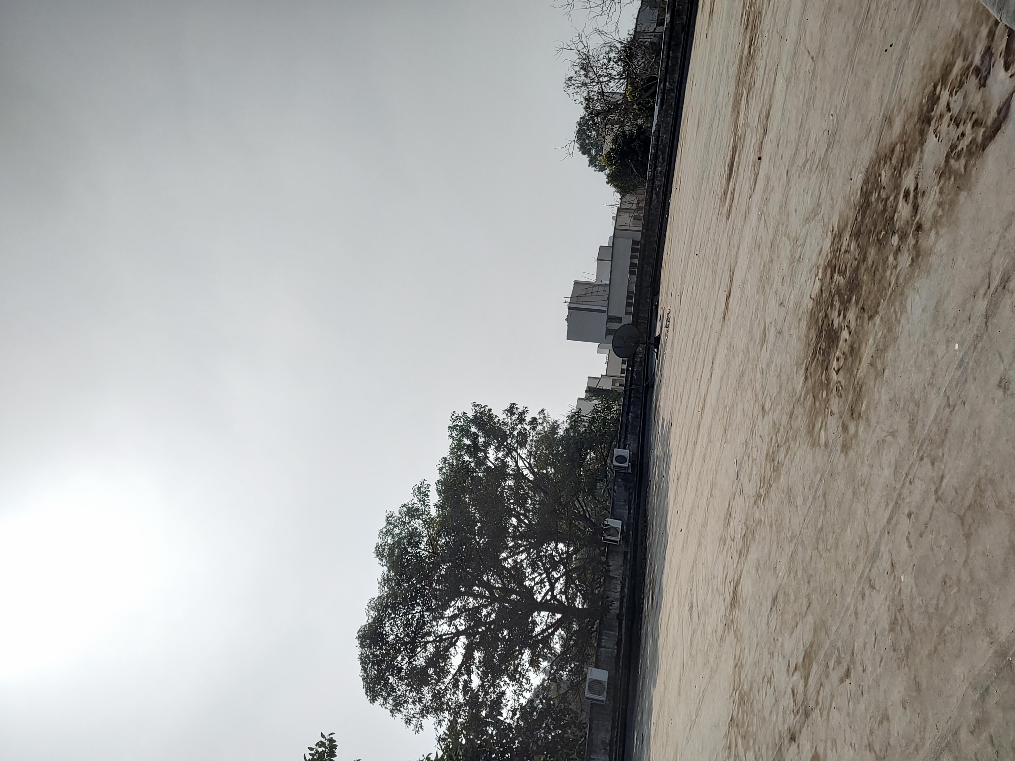 संभावना's image