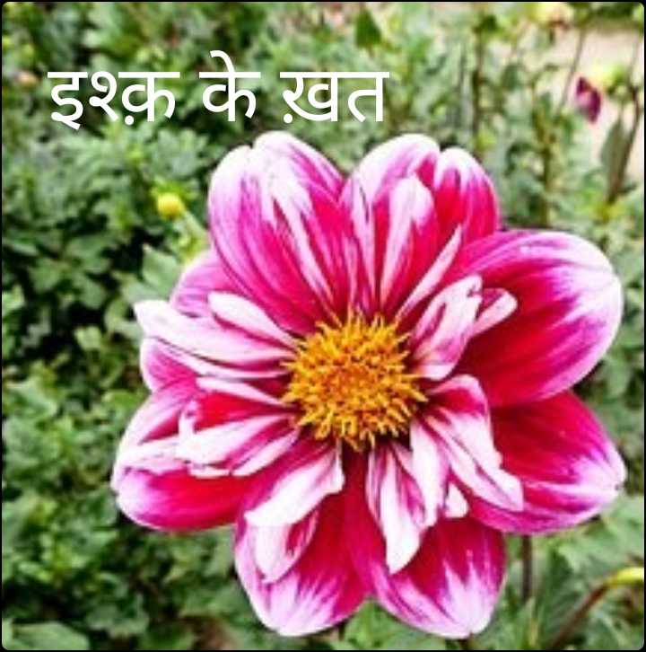 इश्क़ के खत