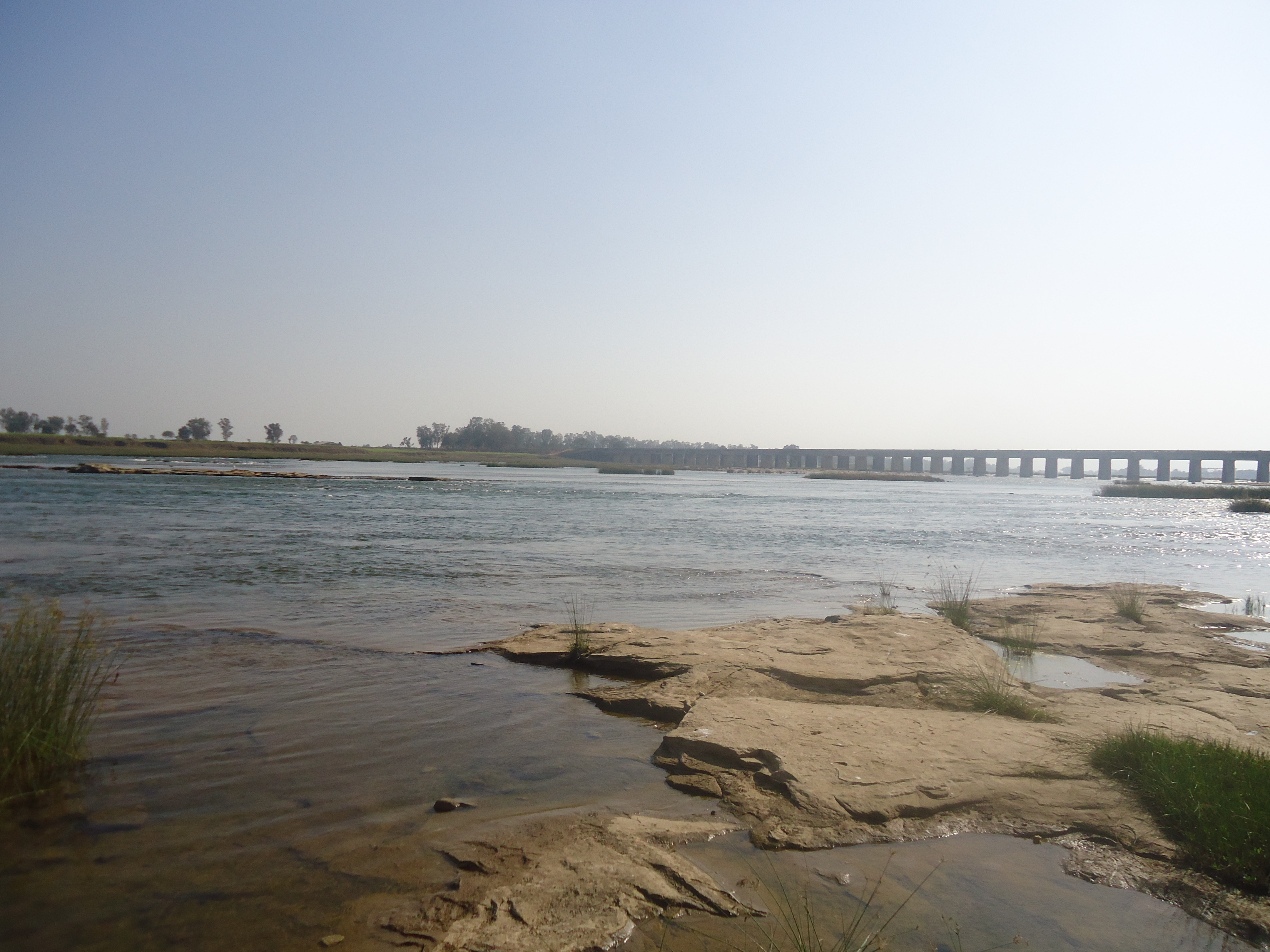 Mujhe Tum Yaad Rahna/मुझे तुम याद रहना's image