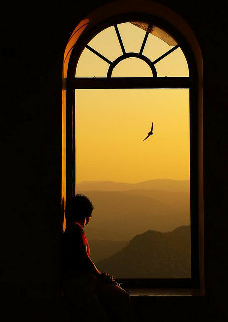 "उड़ चल परिंदे दूर कहीं"'s image