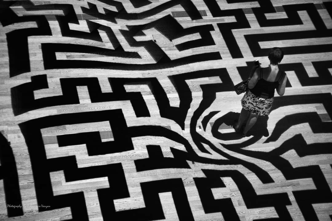 यादों की भूलभुलैया's image