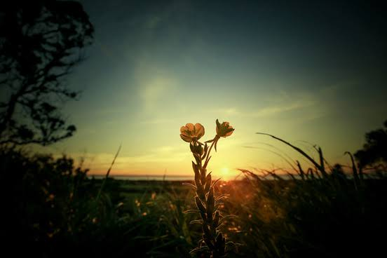 चुभन's image