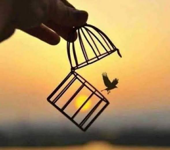 पंछी's image