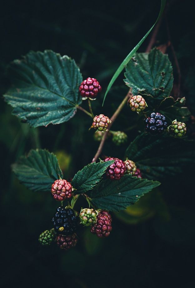 तन्हाइयां's image