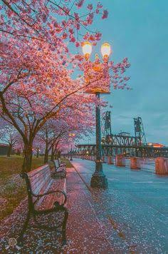 तन्हा होकर भी..'s image