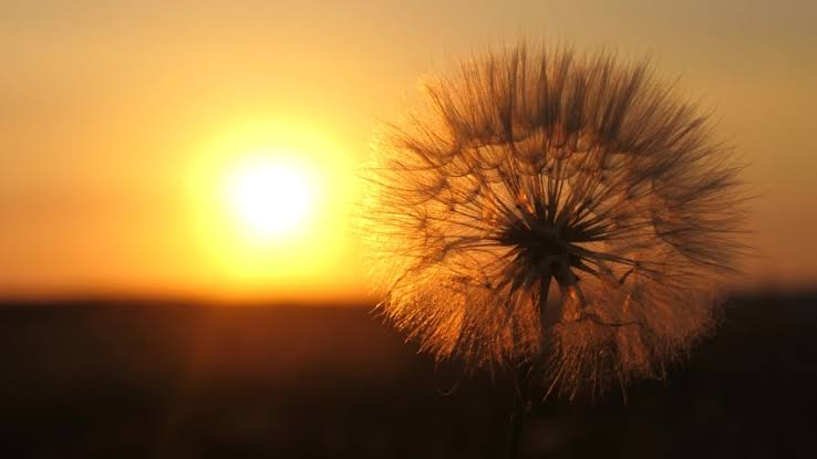 वज़ूद's image