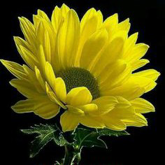 विवाह की वर्षगाँठ's image