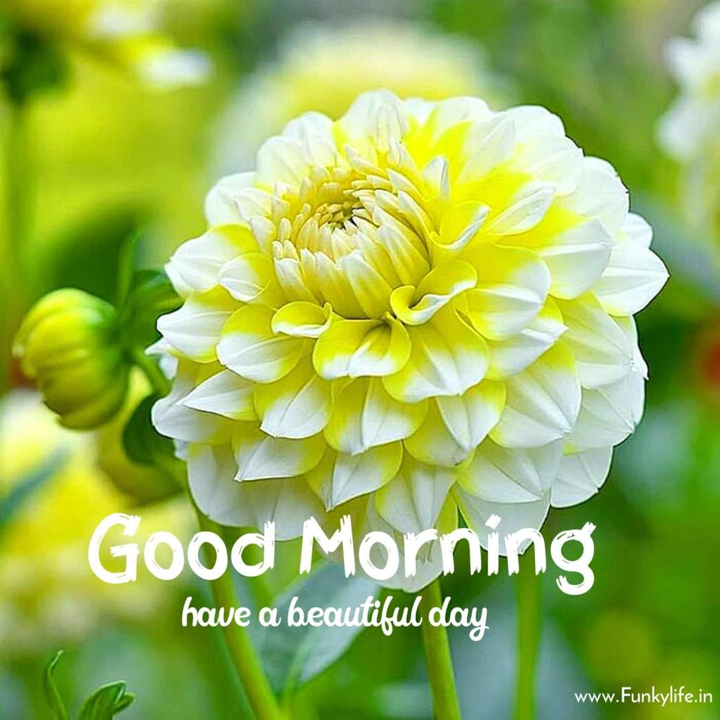 चलो करें शुरू सफर नया's image