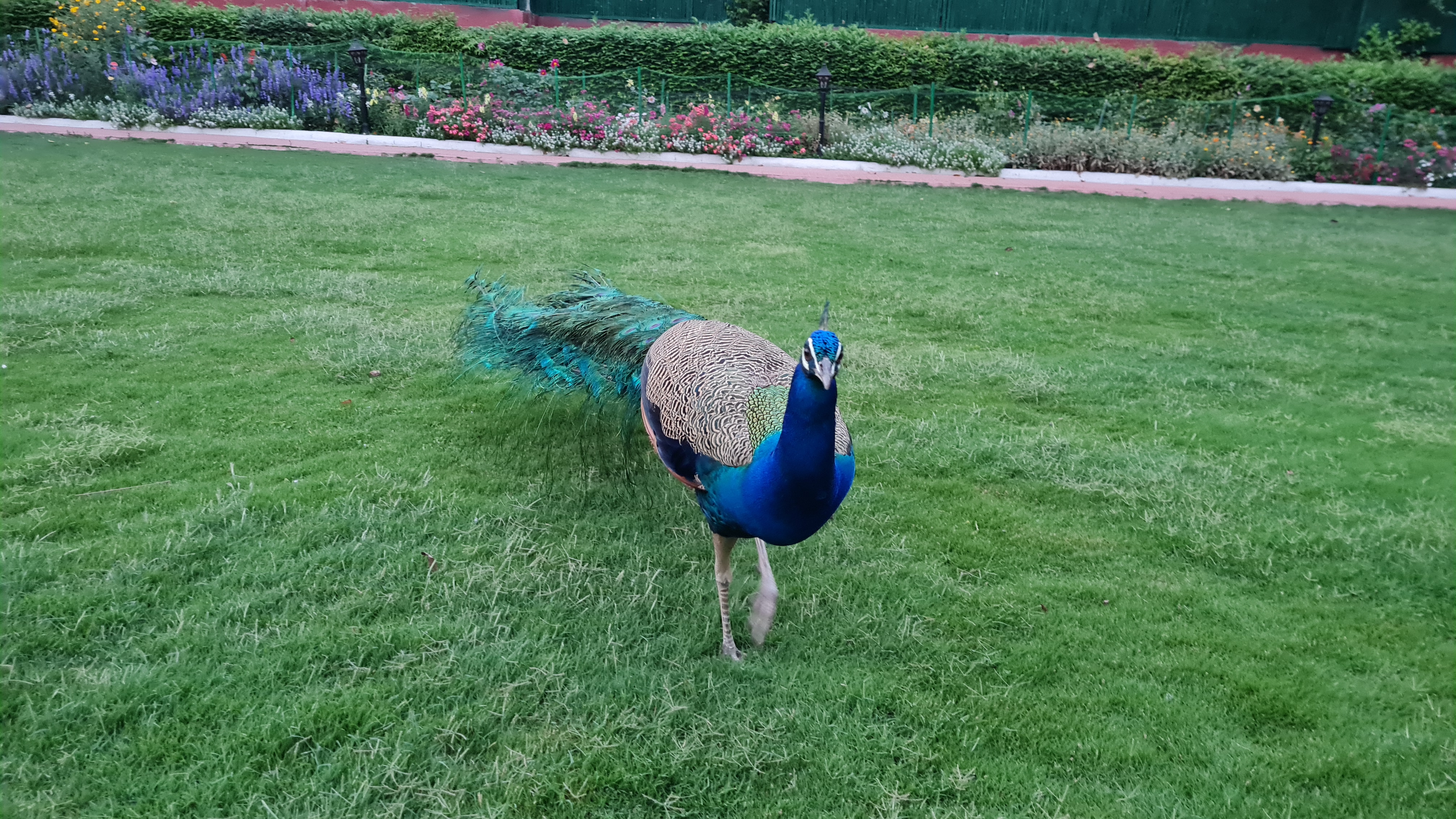 कुछ नहीं थमेगा तेरे बगैर...'s image