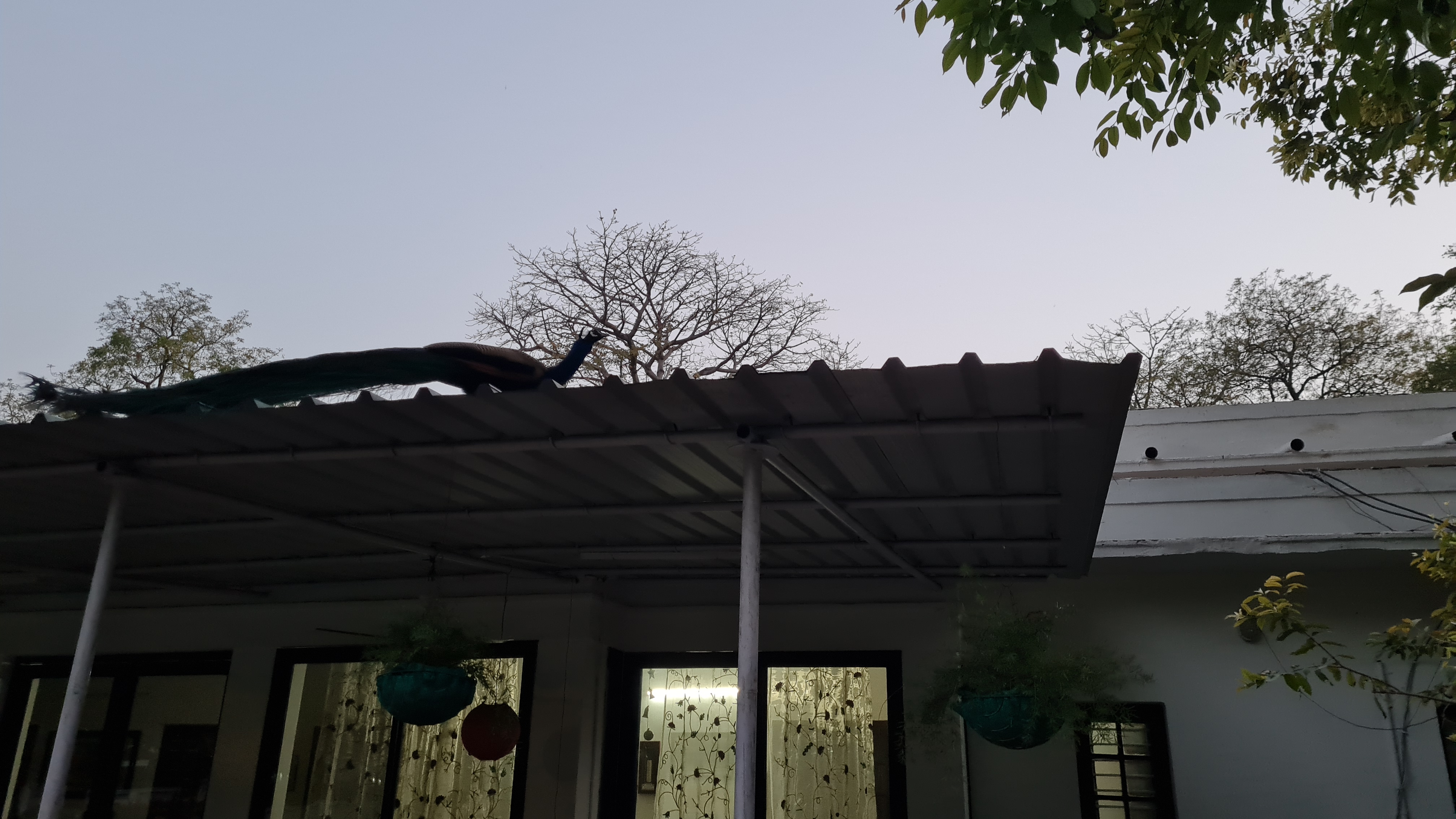 कच्ची दाल से मुगलई पकवान तक का सफर....