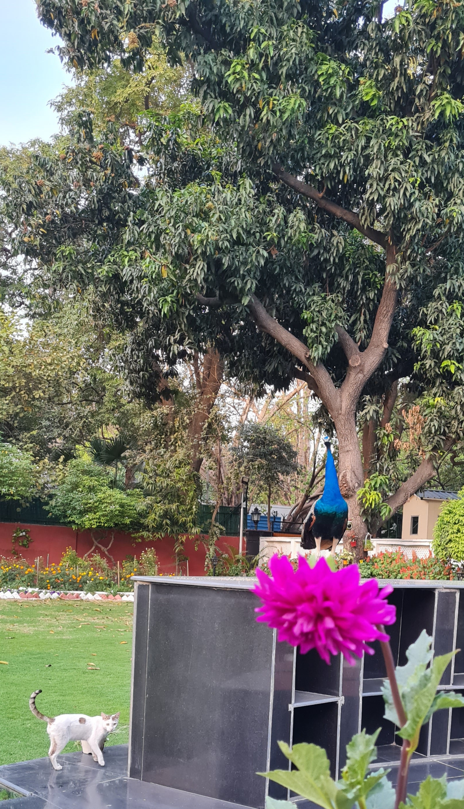 जिंदगी तुम्हारे नाम..