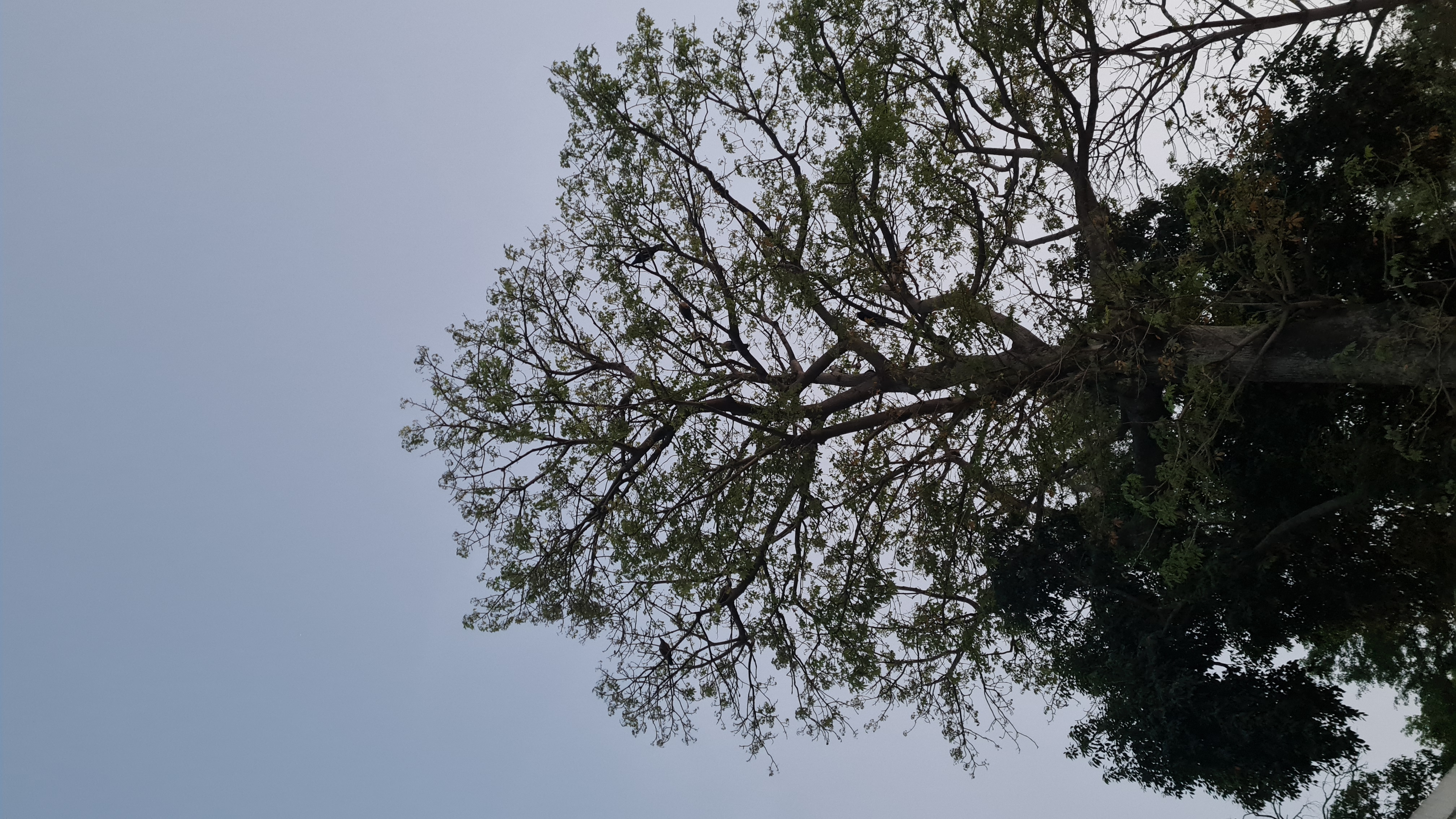 इस कहर से बचा खुदा