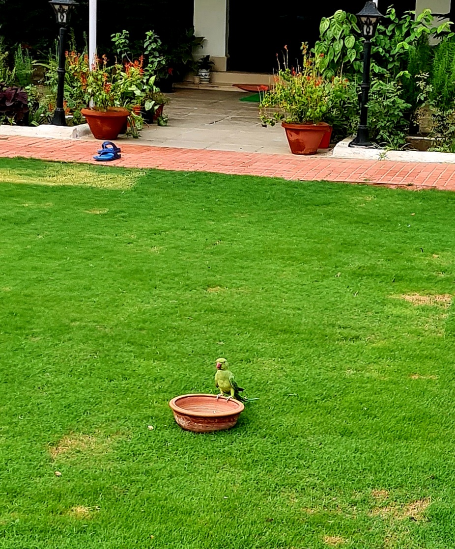 मकां का गुरुर...'s image