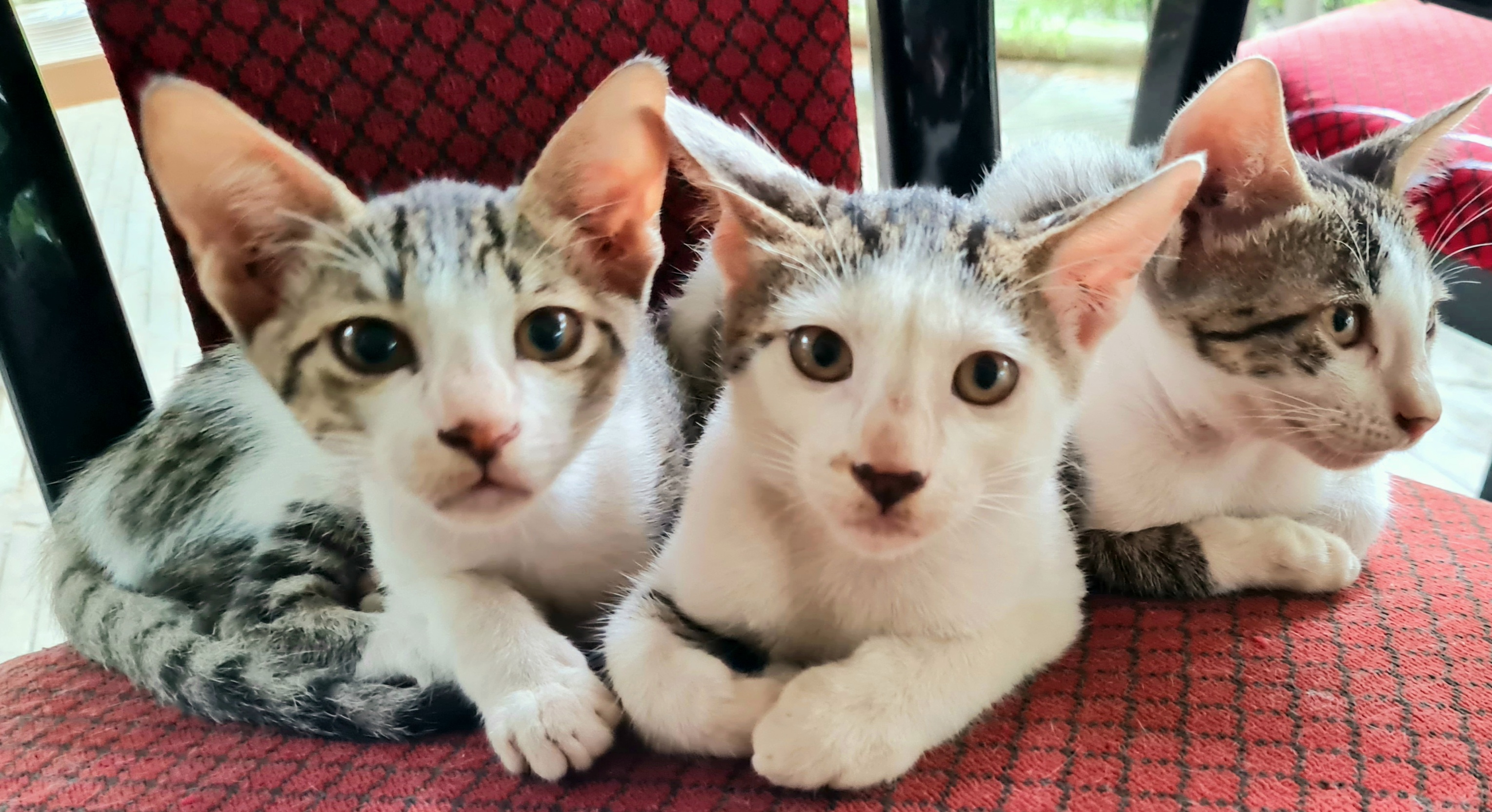 किसी रोज़ तुम भी दस्तक दे जाना....'s image