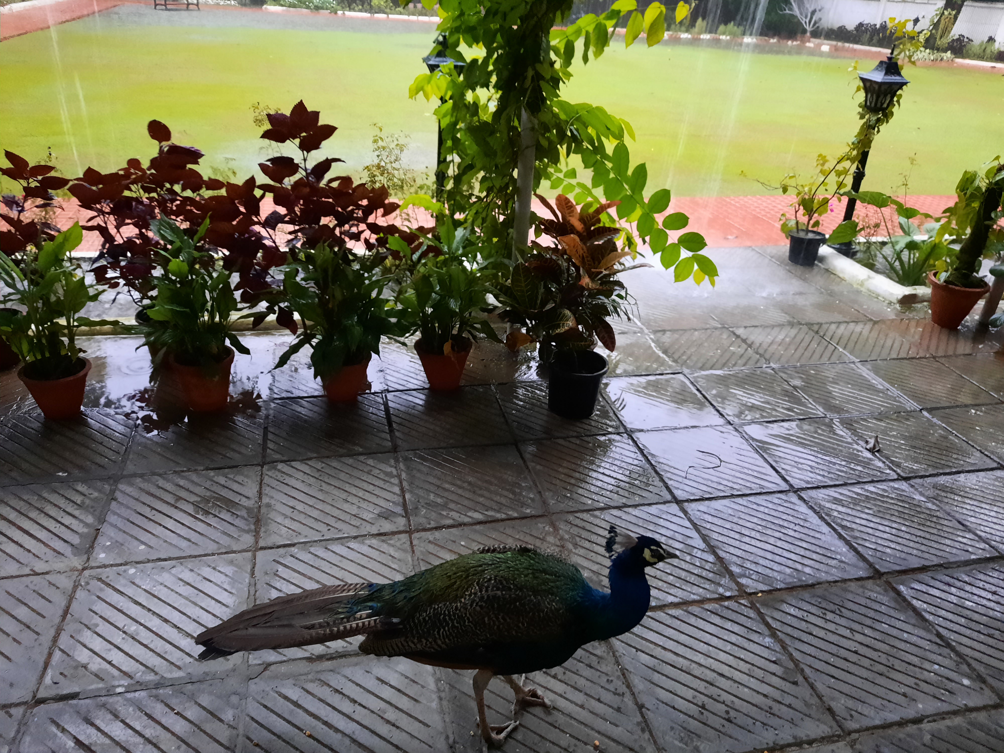 कैसे उन्हें बताऊं मैं दर्द कहां से लाता हूं....'s image