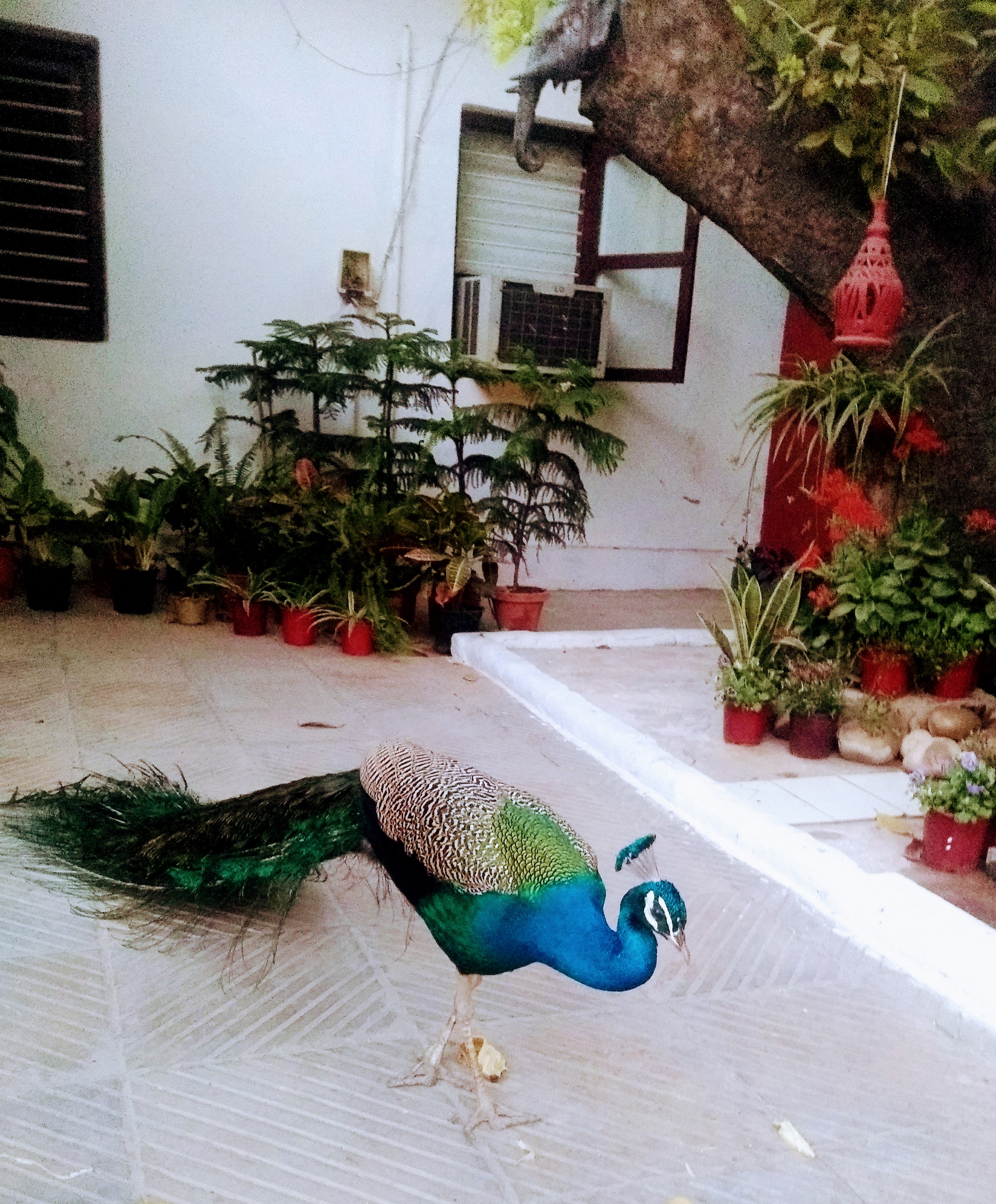 Let's light up every heart...'s image