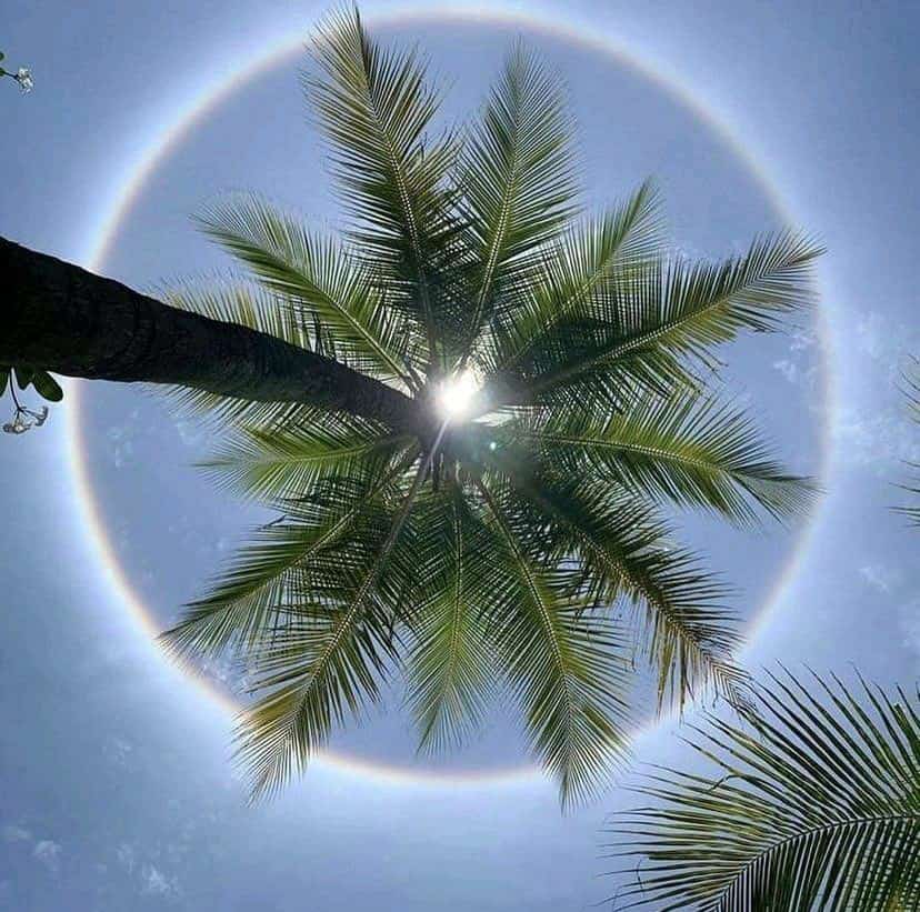 मेरे गीतों का दर्द...