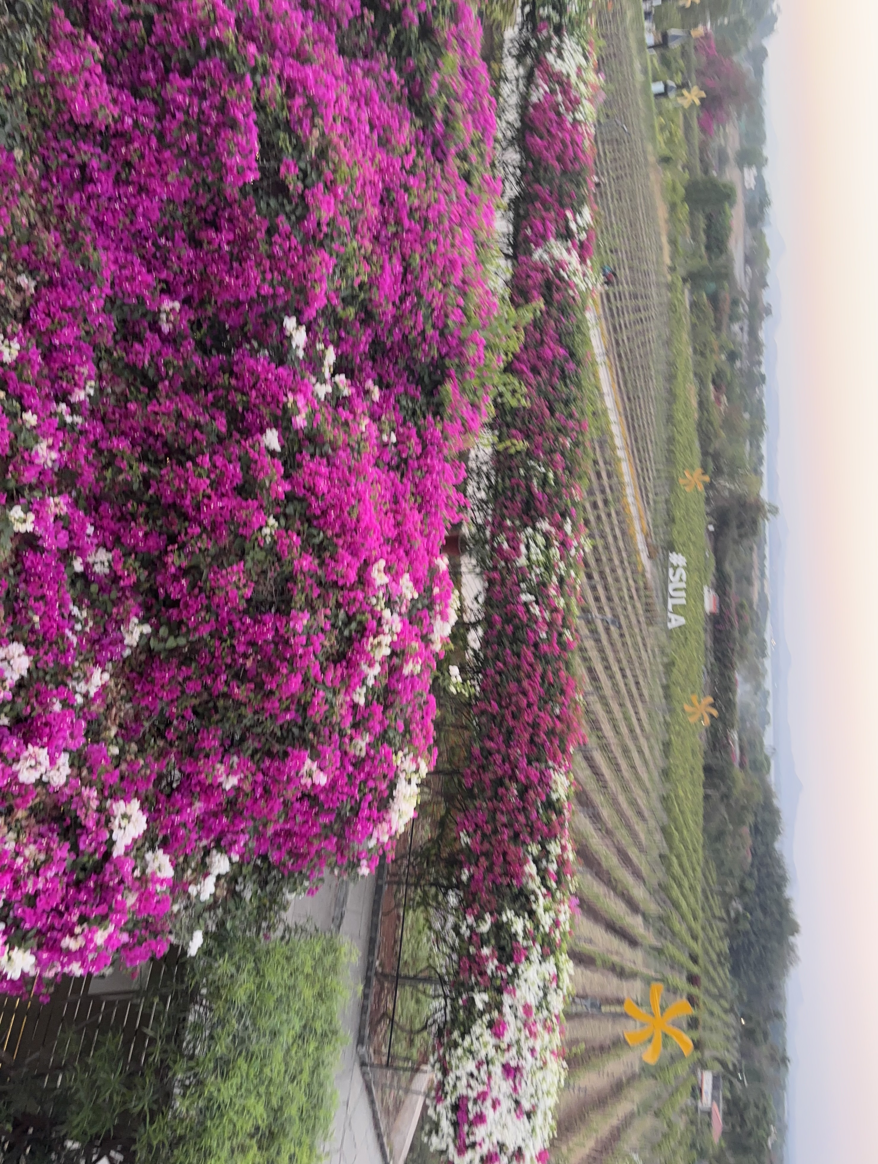 गिरहा गिरहा जोड़ा मैंने..27/40. 40 Poems in 40 Days's image