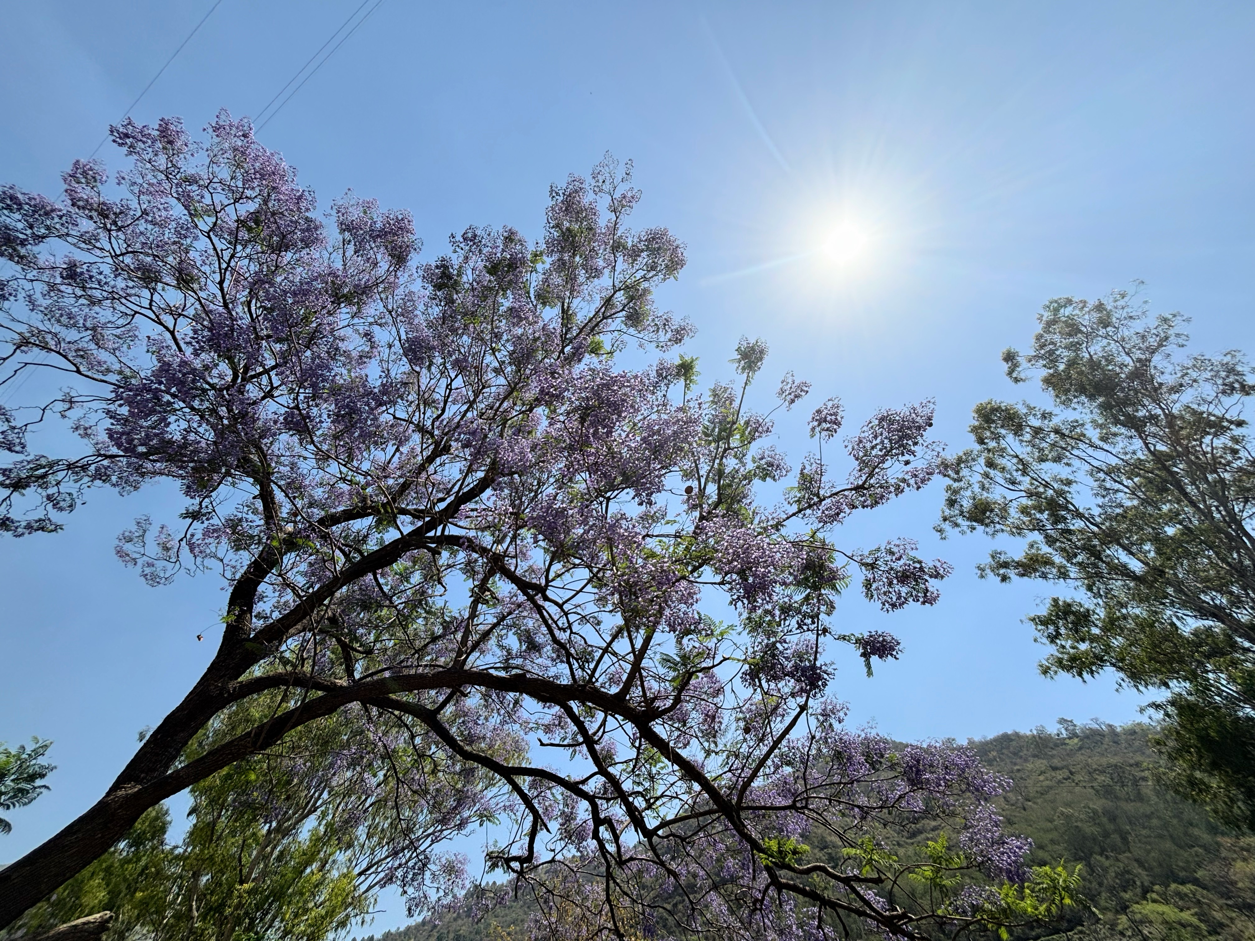 तू मुझे नाम दे या न दे.25/40. 40 Poems in 40 Days's image