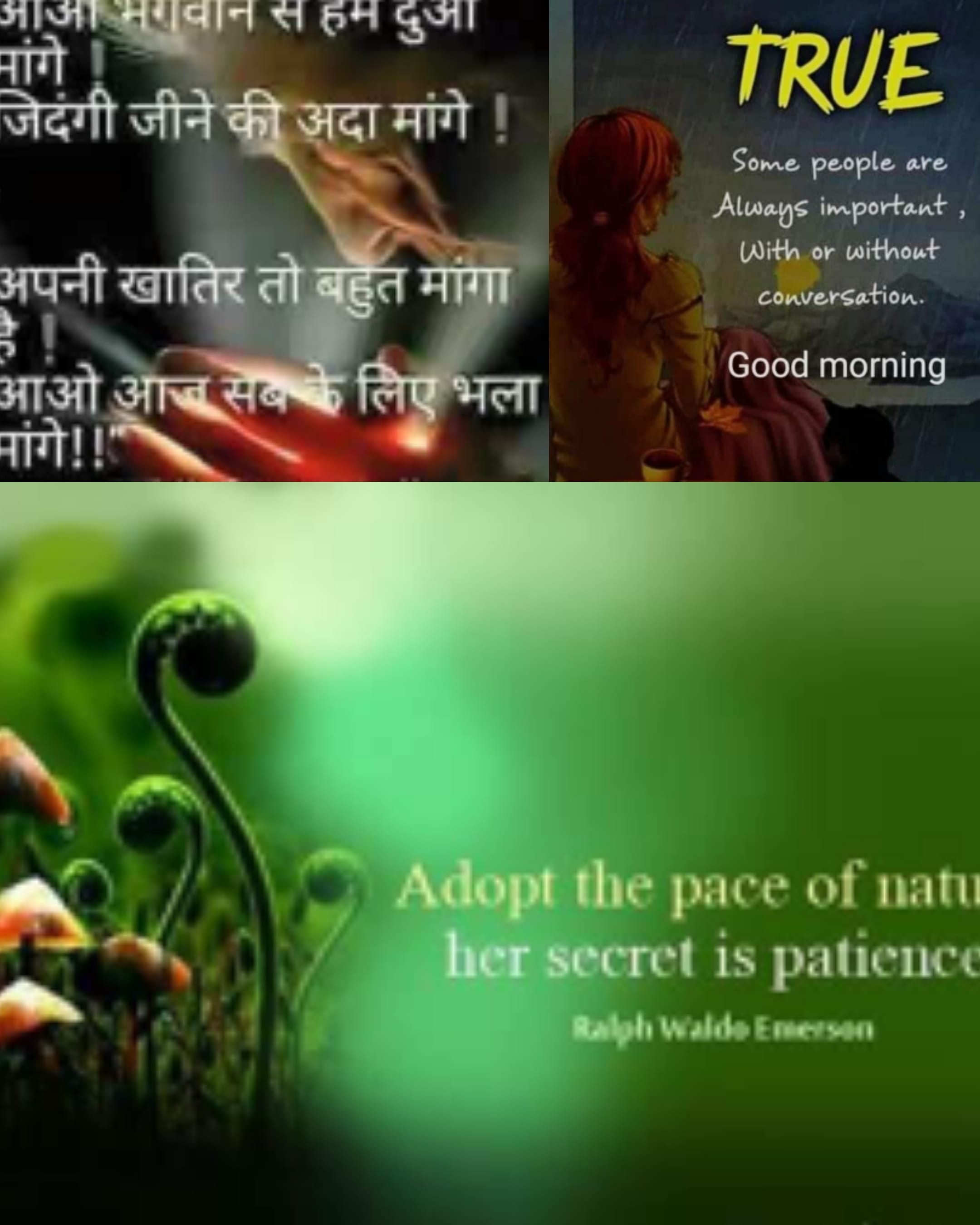 जीवन का अर्थ's image