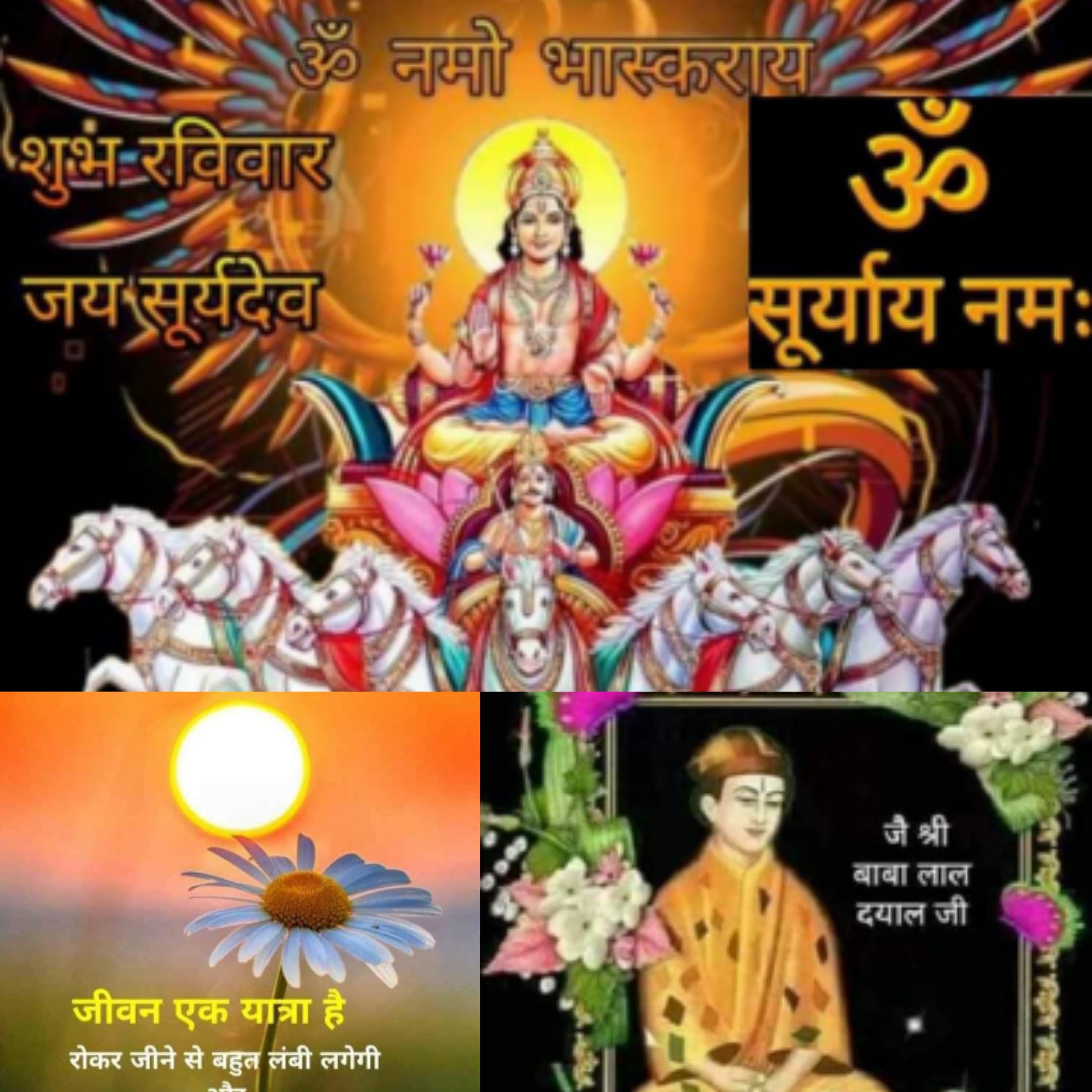 पालनहारे's image