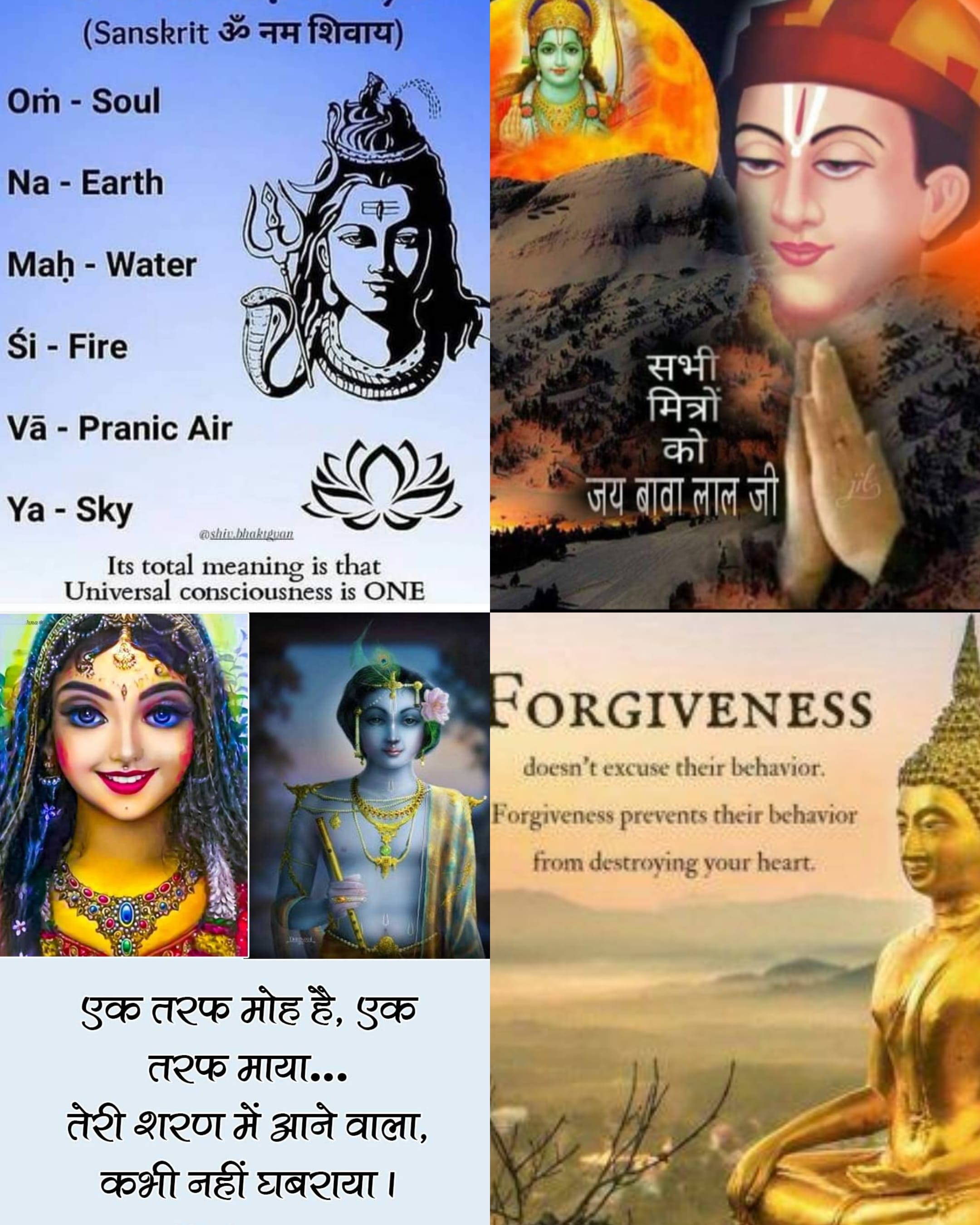 ॐ नमो नीलकण्ठाय's image
