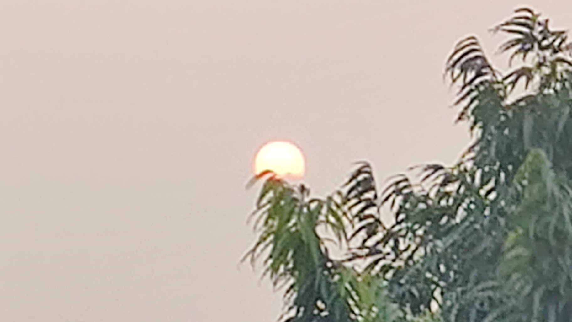 छांव नहीं मिलता।