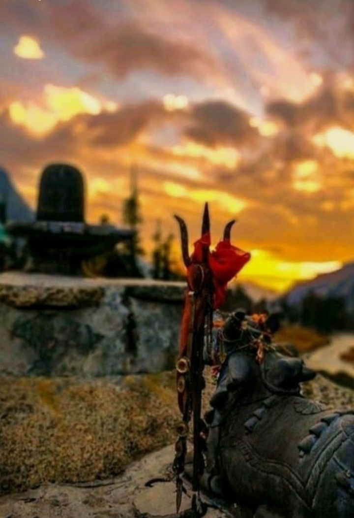 गवाहित साक्ष्य - विवेक मिश्र's image