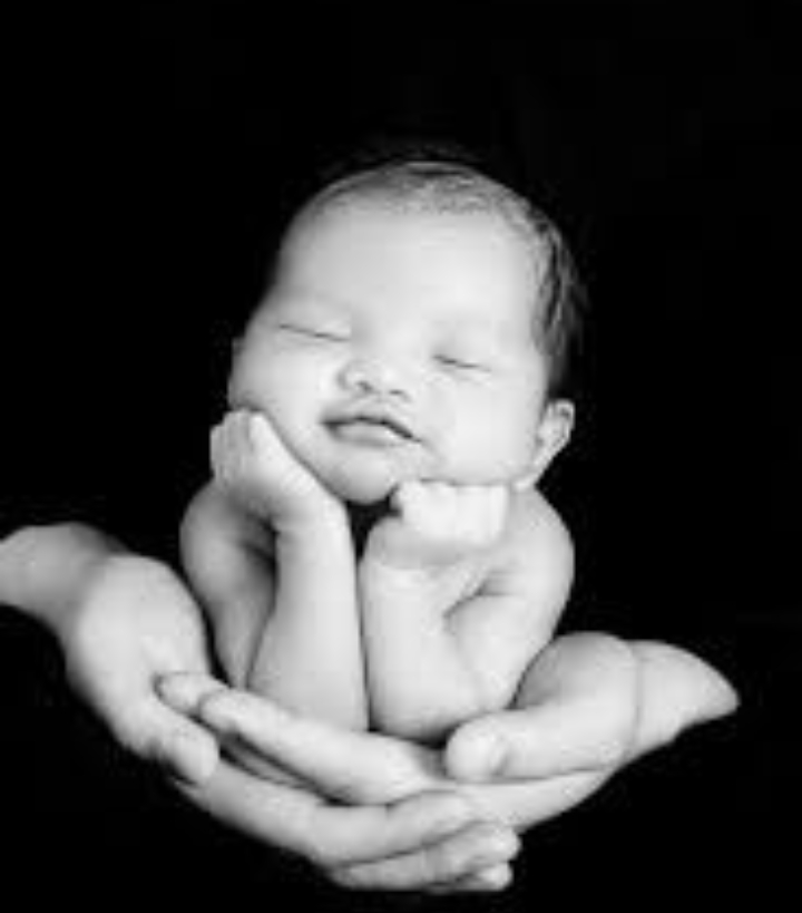 नया सा है - विवेक मिश्र's image