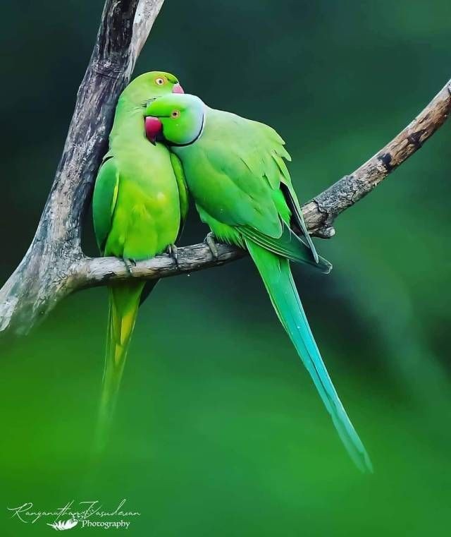 बिखराव-1"'s image