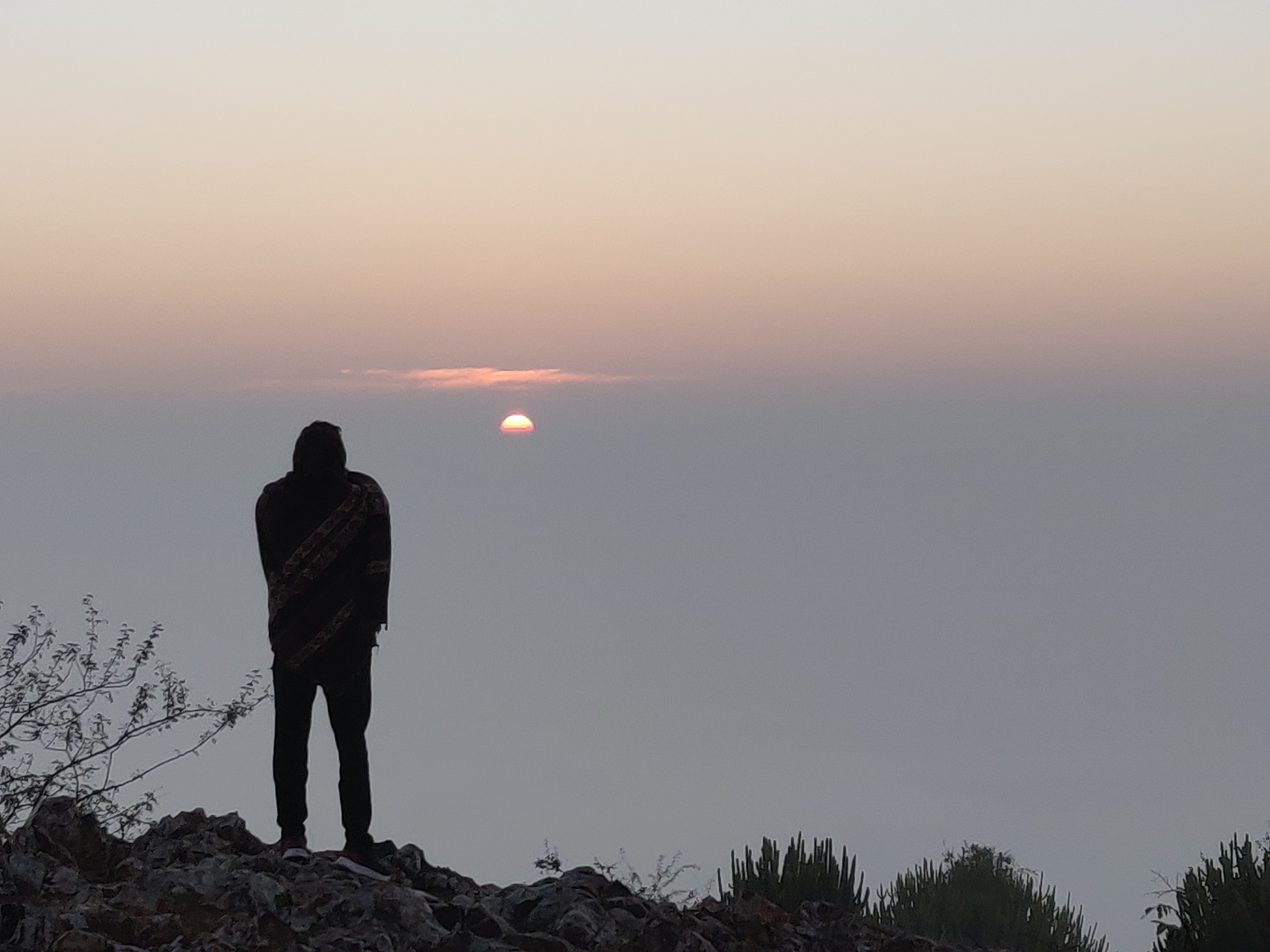 जीत हार's image