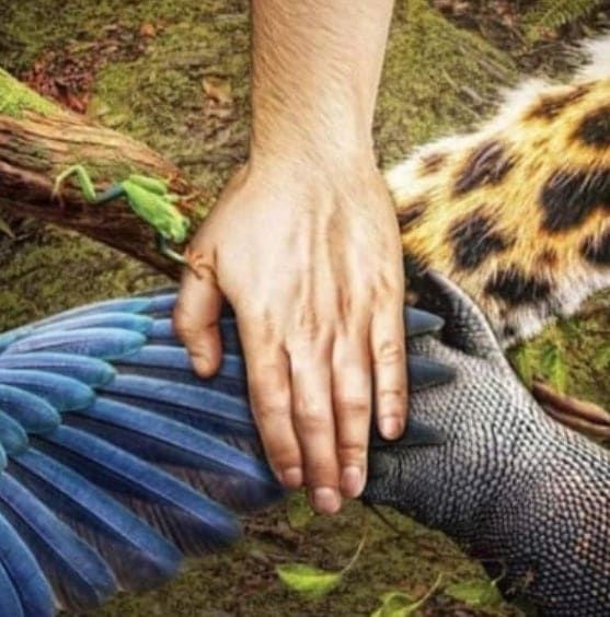 आंतरिक शांति :)'s image