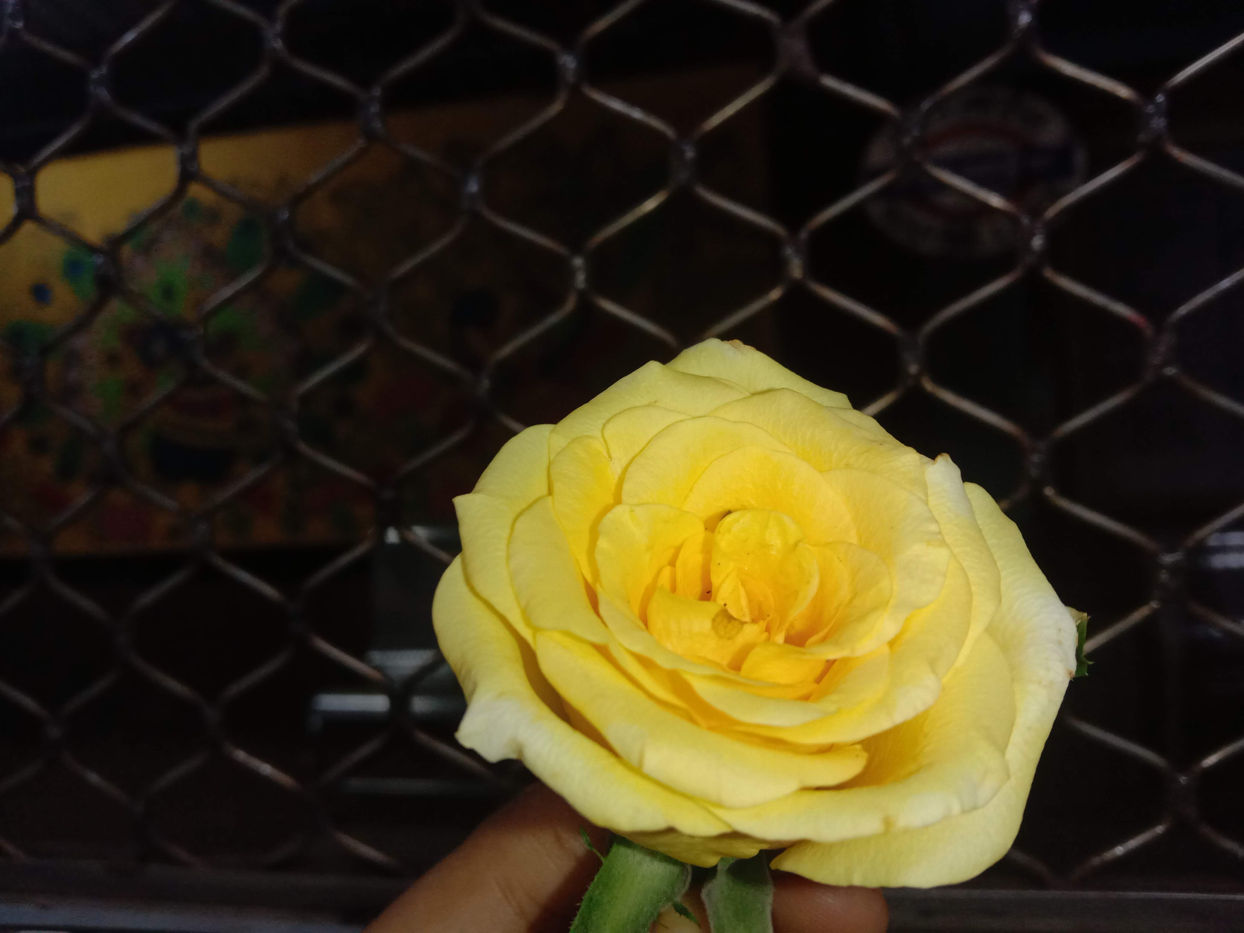 हर शख्स यहां एक हस्ती है!'s image