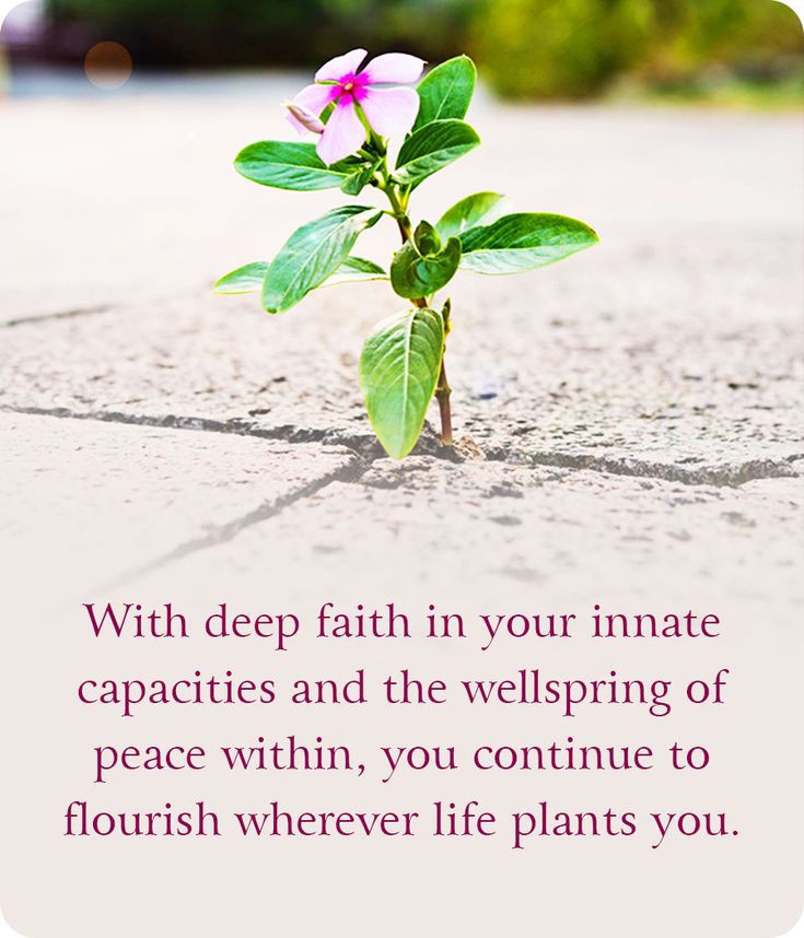 वक्त लगता हैं's image