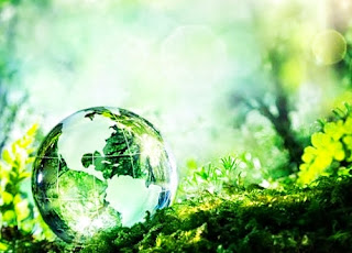 पर्यावरण हमारा's image