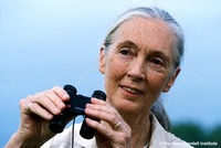 Jane Goodall Jane Goodall