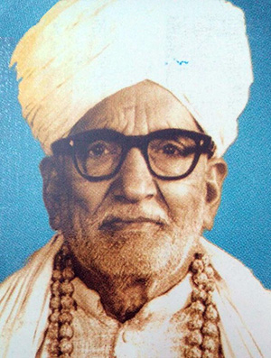 Ratan Pandoravi's image