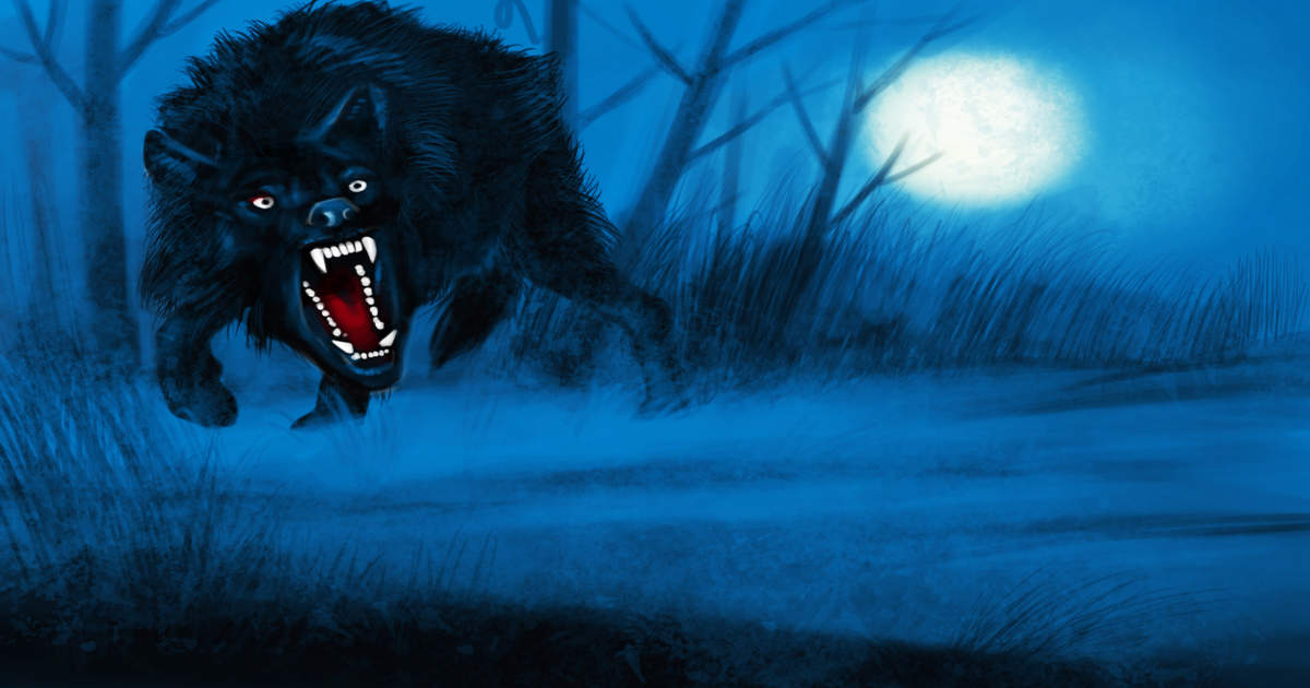 भेड़िये's image