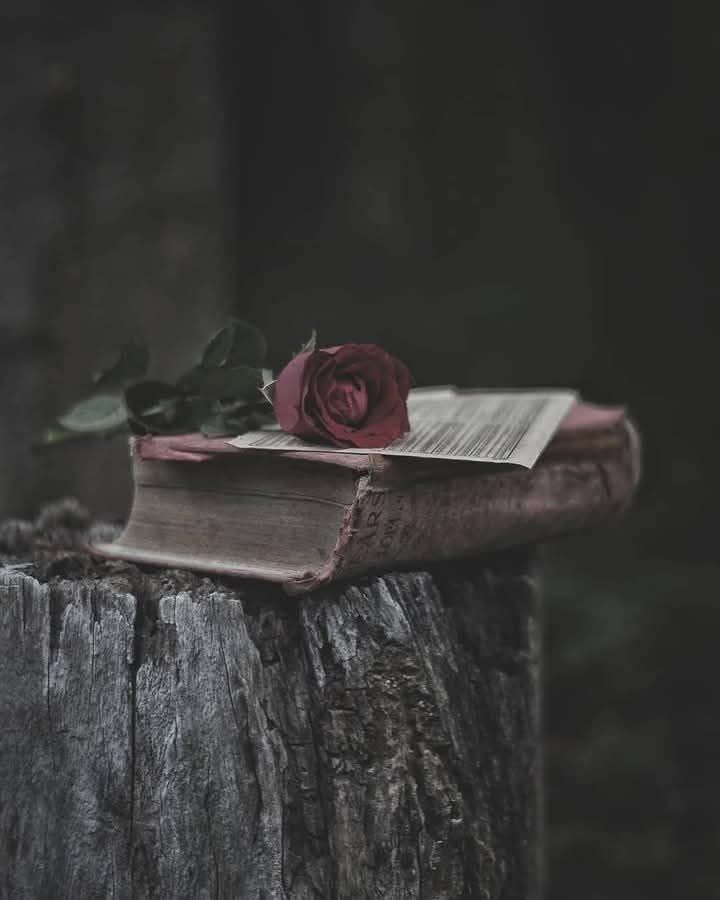 Aaditya Raj Aaditya Raj