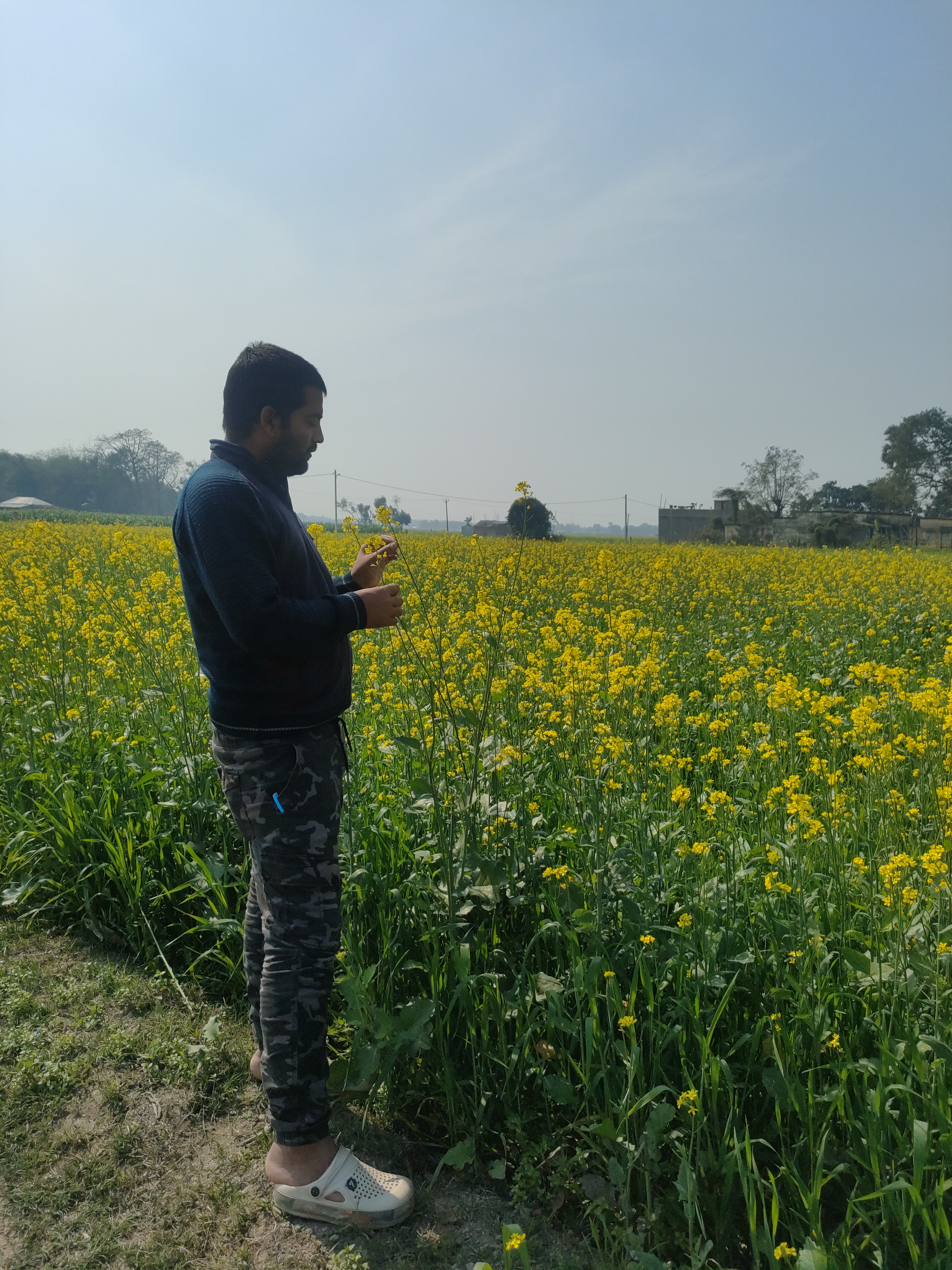 Aniket