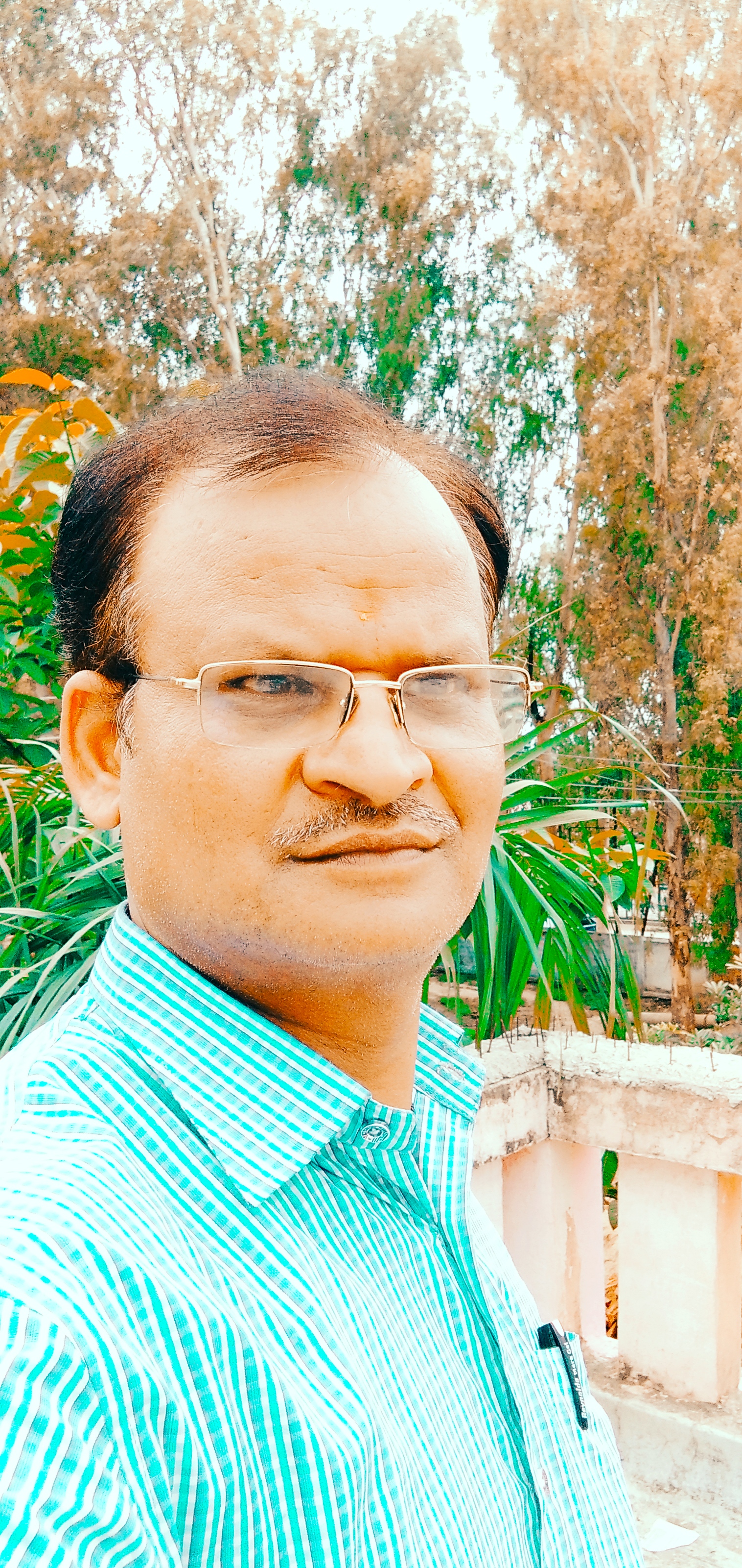 Anil Tripathi