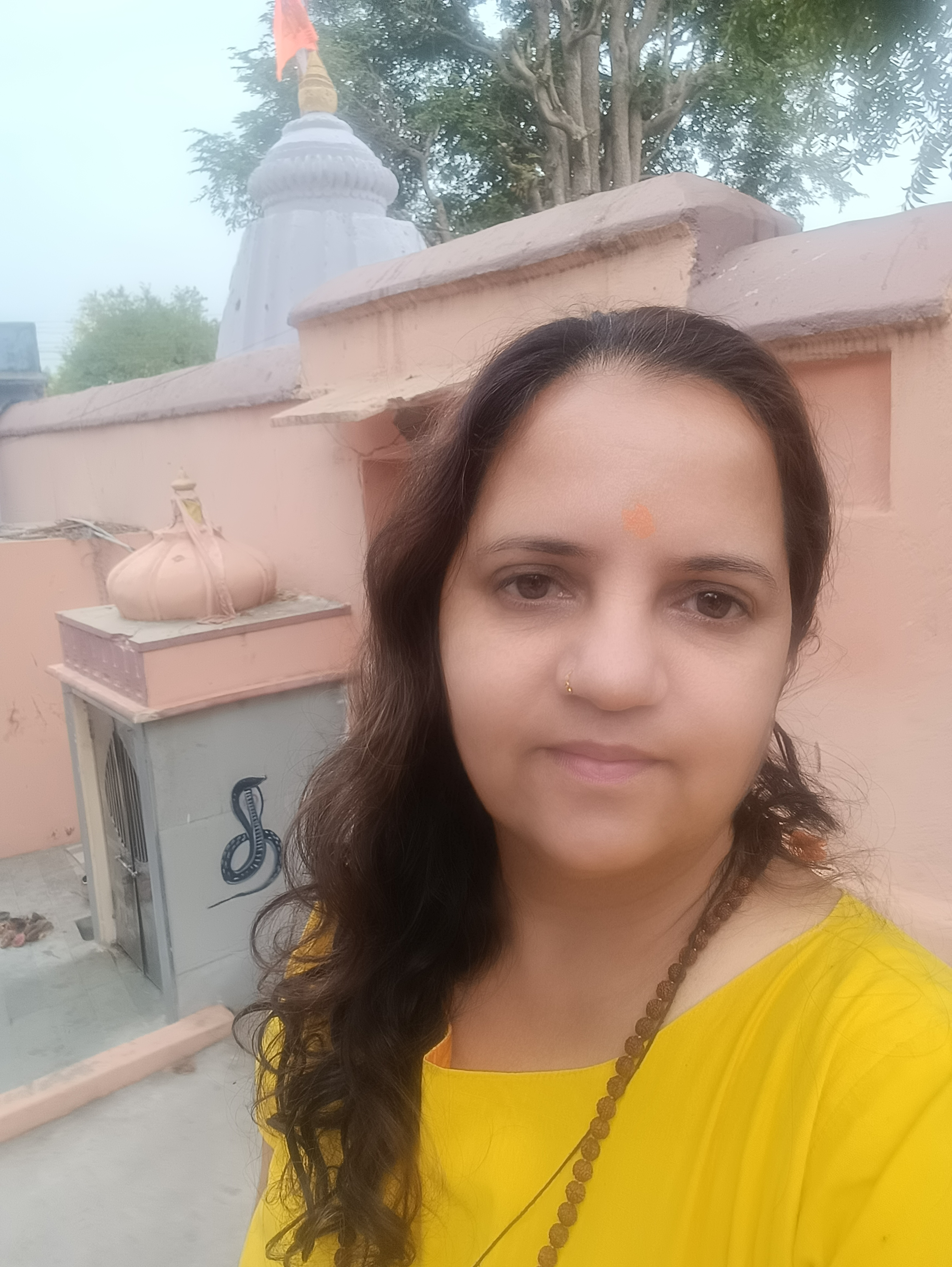 bhavnakumarivyas's pic