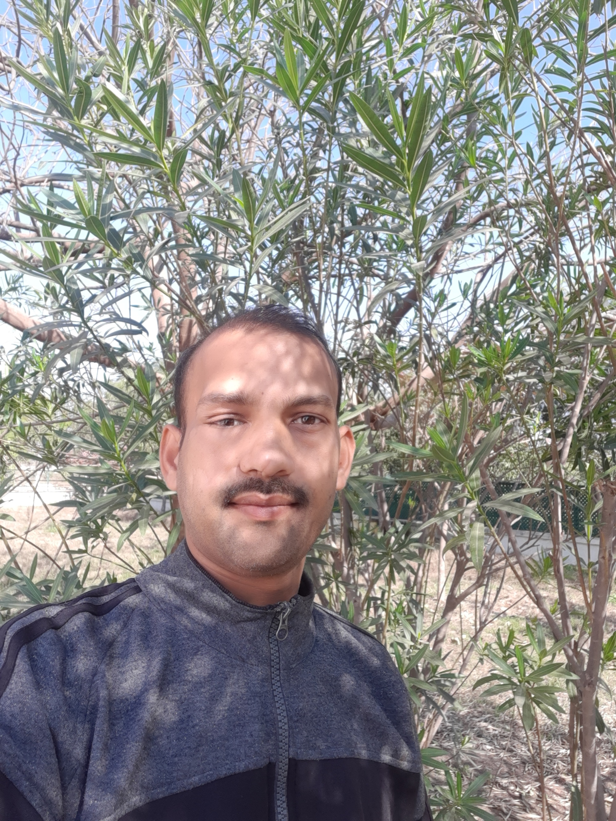 CHANDRA SHANKAR SINGH AMBUJ SINGH PARIHAR